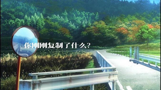你刚刚复制了什么？
