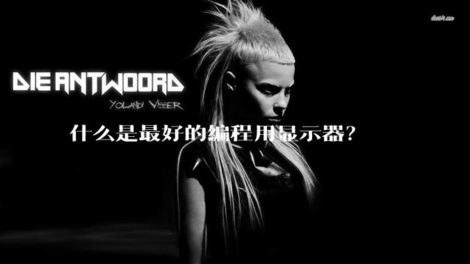 什么是最好的编程用显示器？
