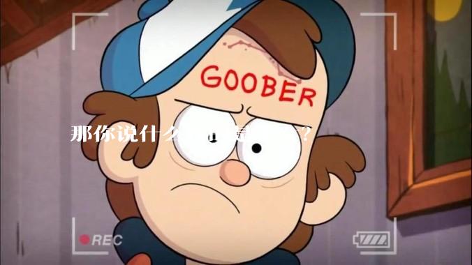 那你说什么样的是美女？